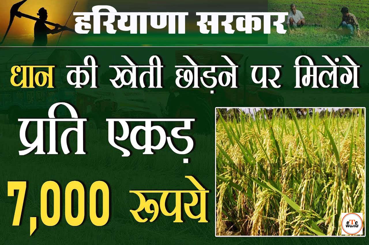 अब हरियाणा सरकार धान की खेती करने वाले किसानों को देगी प्रति एकड़ ₹7000 ऐसे करें आवेदन ?