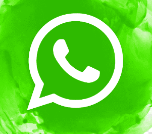 WhatsApp Public Channel